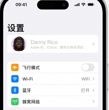 抱罗镇appleID维修服务iPhone设置中Apple ID显示为灰色无法使用 