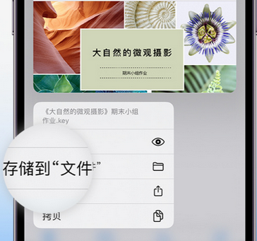 抱罗镇apple维修中心分享iPhone文件应用中存储和找到下载文件