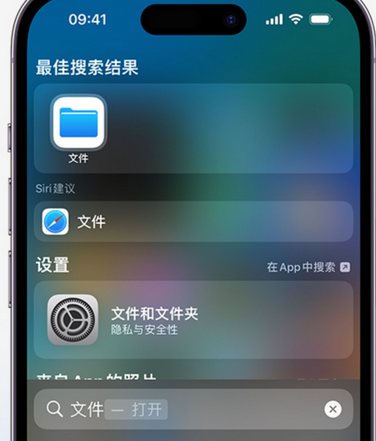 抱罗镇apple维修中心分享iPhone文件应用中存储和找到下载文件 