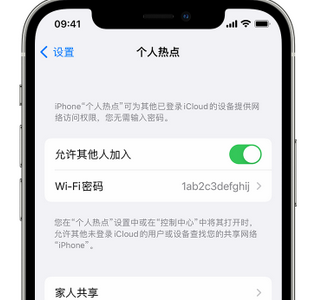 抱罗镇apple服务站点分享iPhone上个人热点丢失了怎么办 