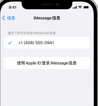 抱罗镇apple维修iPhone上无法正常发送iMessage信息 