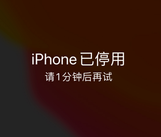 抱罗镇苹果手机维修分享:iPhone 显示“不可用”或“已停用”怎么办？还能保留数据吗？ 
