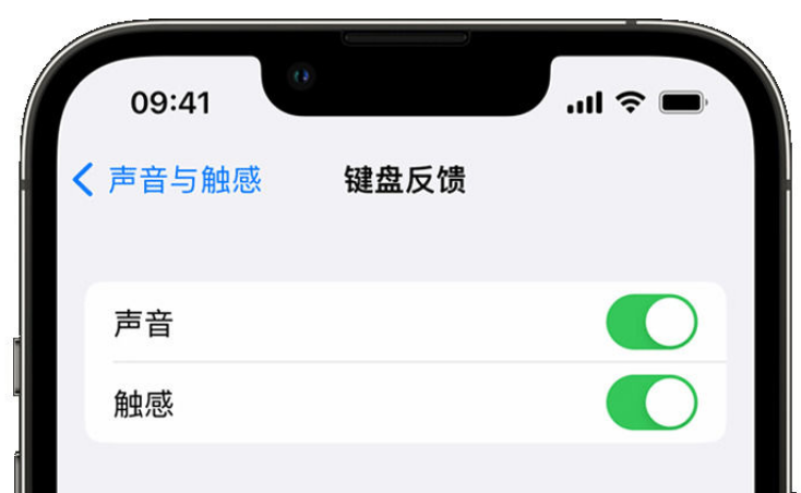 抱罗镇苹果手机维修分享iPhone 14触感键盘使用方法 