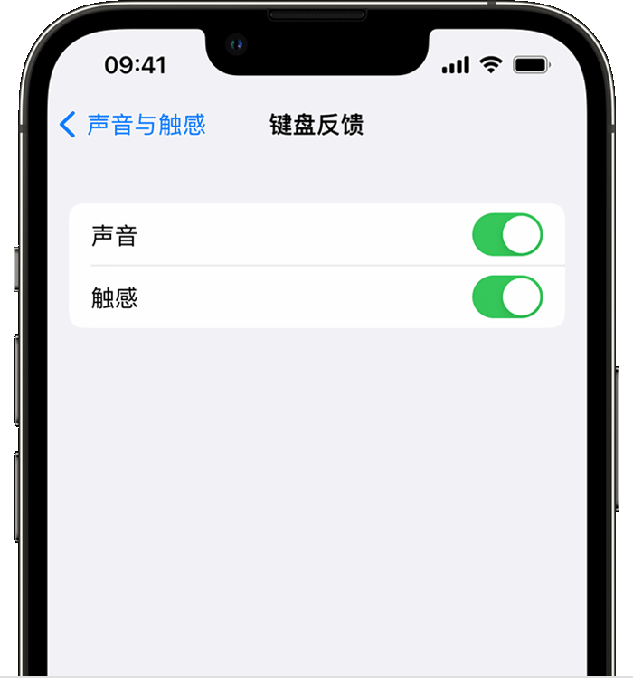 抱罗镇苹果14维修店分享如何在 iPhone 14 机型中使用触感键盘 