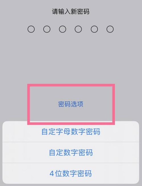 抱罗镇苹果14维修分享iPhone 14plus设置密码的方法 