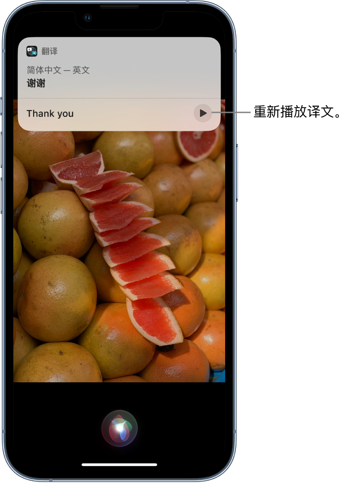 抱罗镇苹果14维修分享 iPhone 14 机型中使用 Siri：了解 Siri 能帮你做什么 