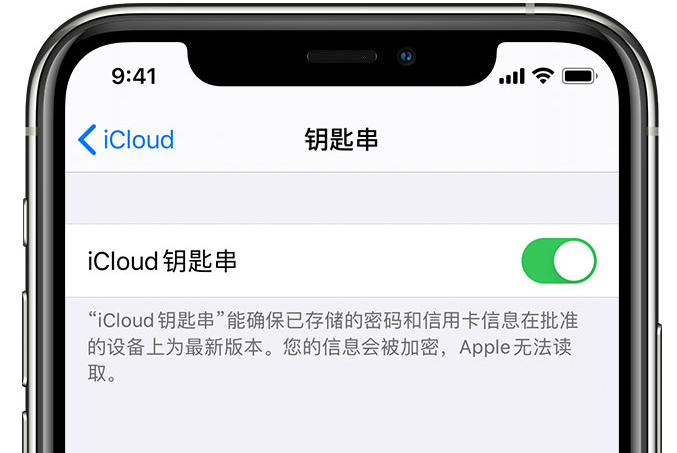 抱罗镇苹果手机维修分享在 iPhone 上开启 iCloud 钥匙串之后会储存哪些信息 